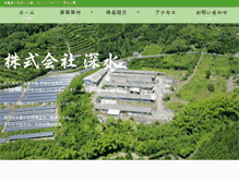 Tablet Screenshot of fukamizu.com